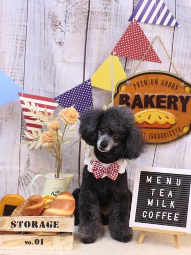 20240913ラムくん